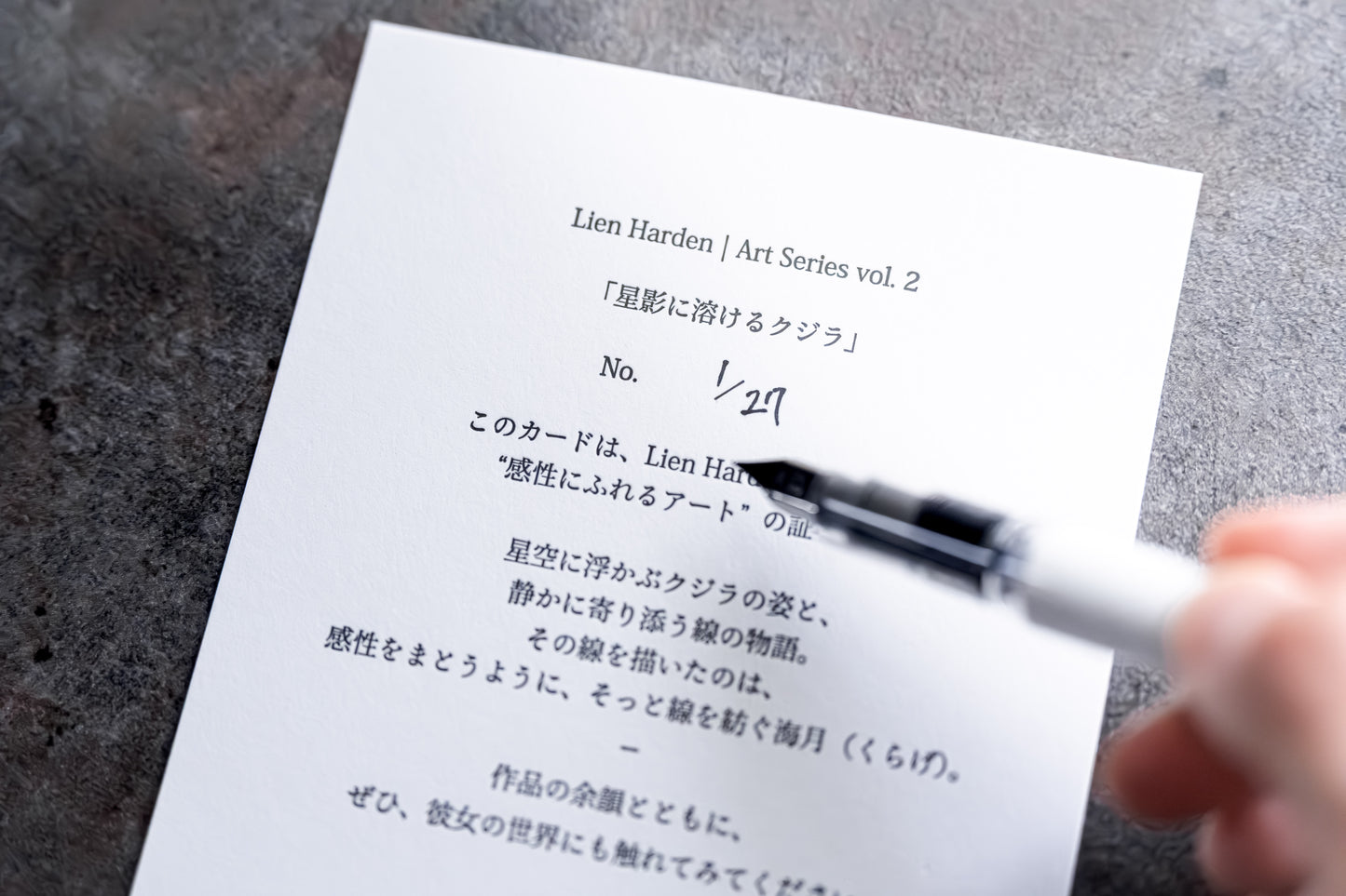 Lien Harden Start Box｜初めての2枚組（アートT × ロゴT）